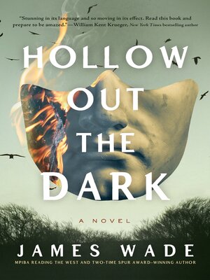 cover image of Hollow Out the Dark